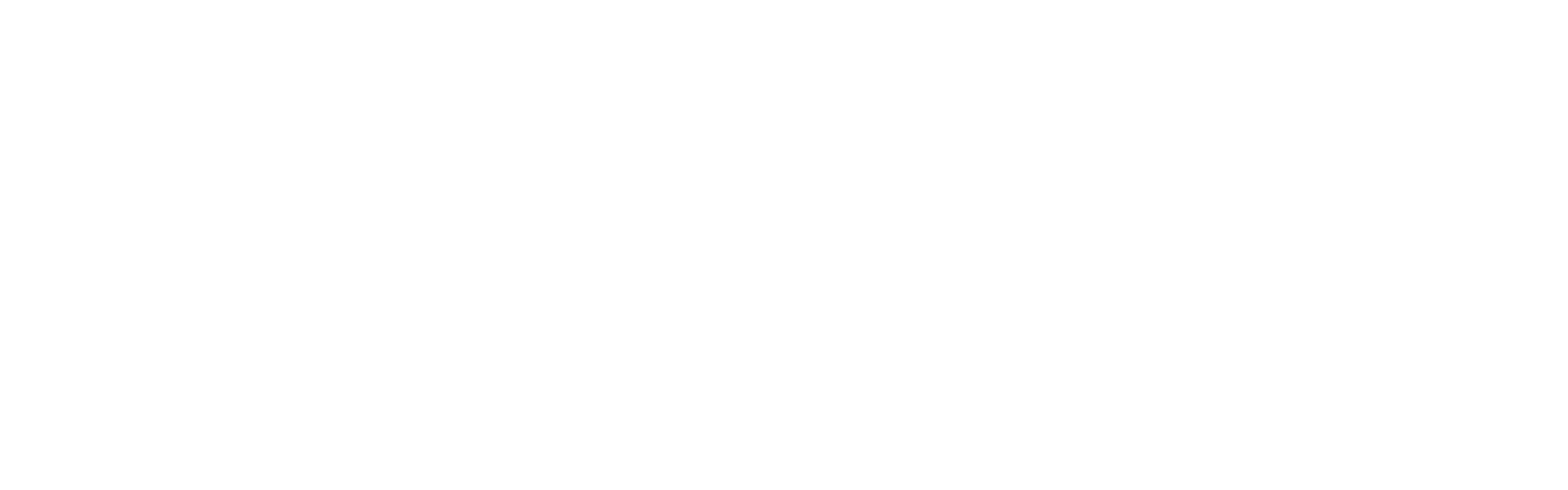 Lean Supports Dark Logo